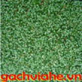 GẠCH LÁT VỈA HÈ, TERRAZZO