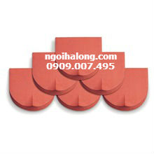 NGÓI MỦI HÀI NHỎ HẠNG LONG M150